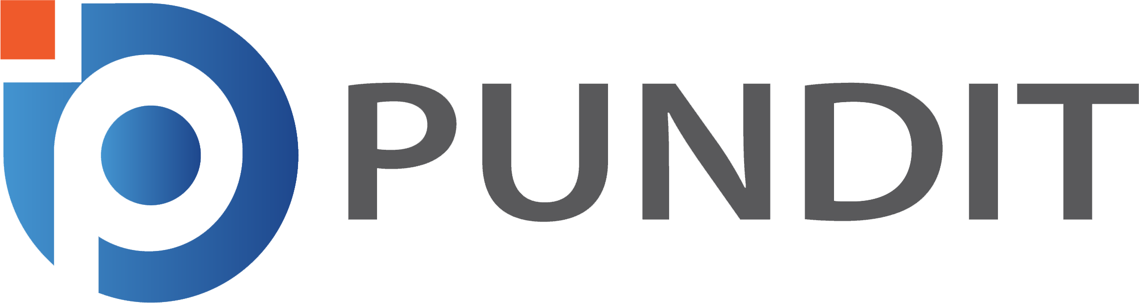 Pundit Logo (1)